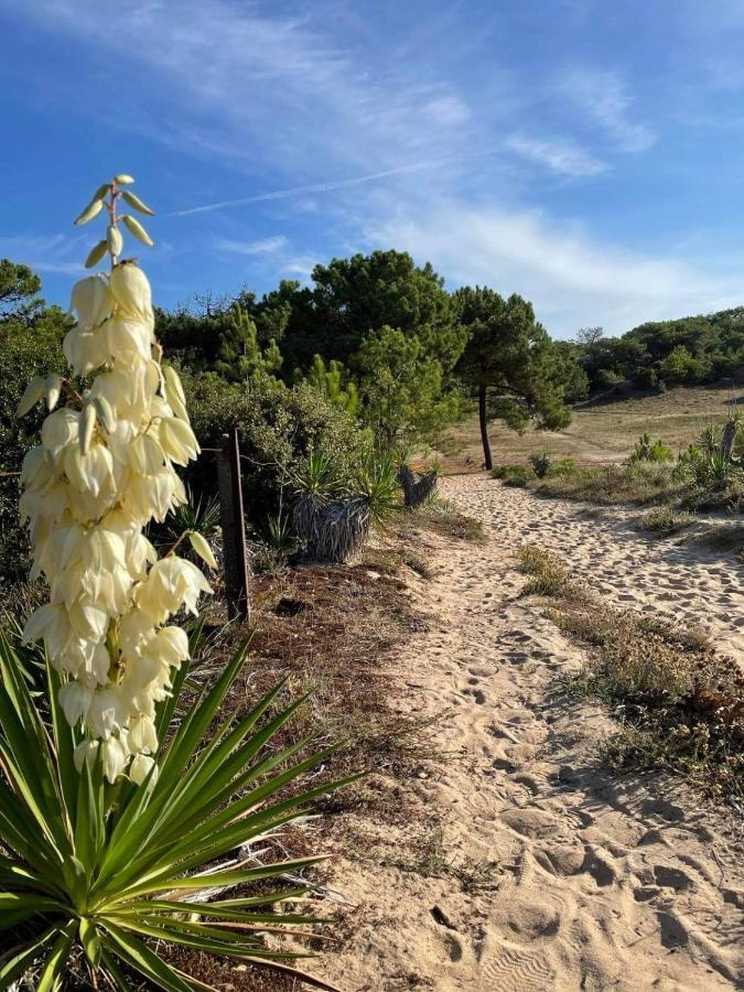 Maison Dans Les Dunes Barbatre Bagian luar foto